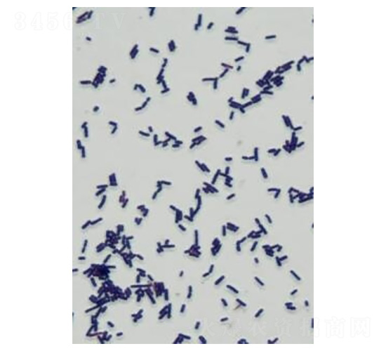 ϣ����U��-�Ѝu����