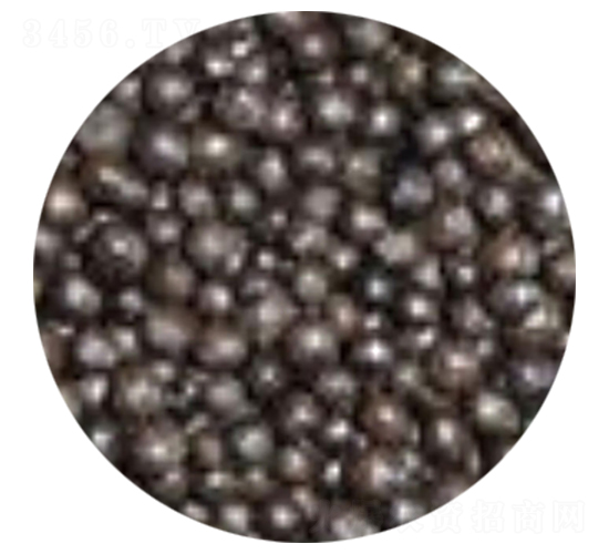 �w�������ЙC��-�ֆ�����