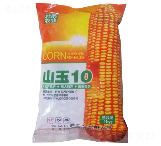 山玉10-玉米種子-杜鵑農(nóng)業(yè)