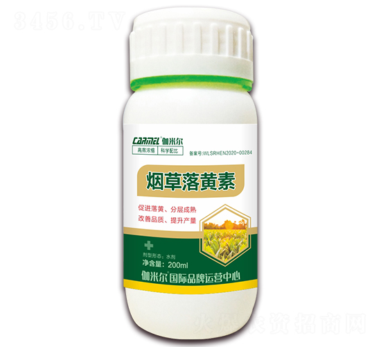 �������S��-٤�נ�-ľ�̼ь�