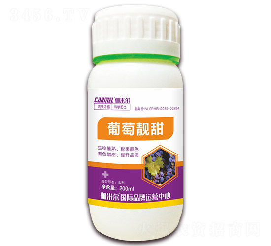 �����n��-٤�נ�-ľ�̼ь�