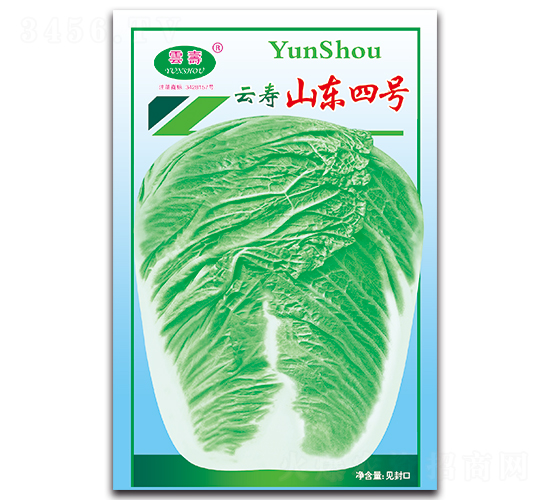 云壽山東四號-白菜種子-云壽