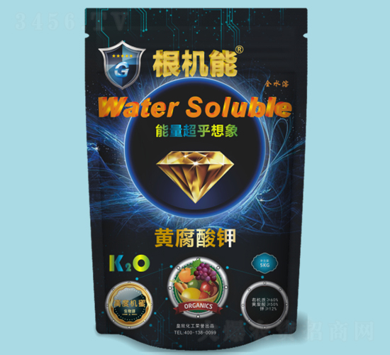 �S�����-���C��-��������