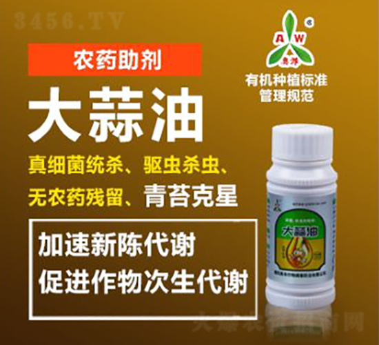 ������-�W�S