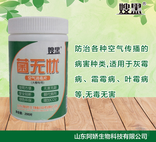 ���o(w��)�n������ÿ՚�����Ƭ��-ɩ��-��������