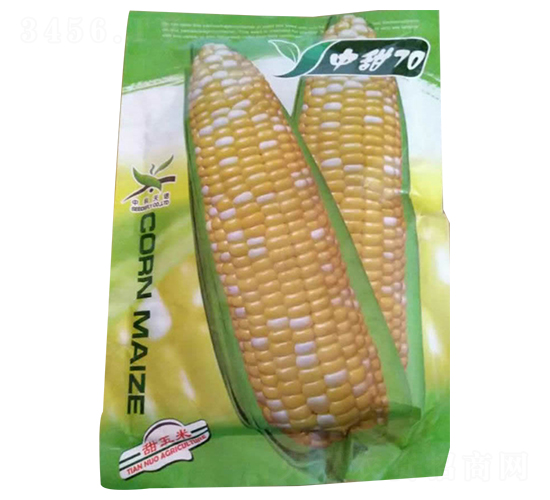 中甜70-玉米種子-酒玉種業(yè)