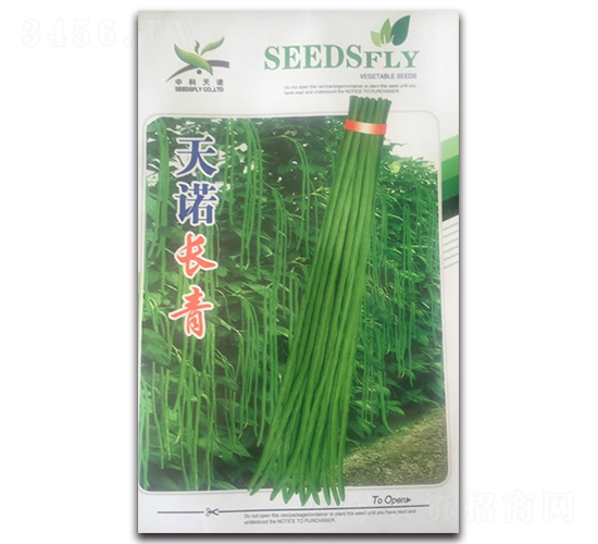 天諾長青-豆角種子-酒玉種業(yè)