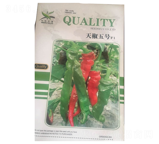 �콷��̖(h��o)F1-�����N��-����N�I(y��)