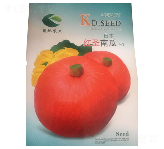 日本紅圣南瓜-南瓜種子-酒玉種業(yè)