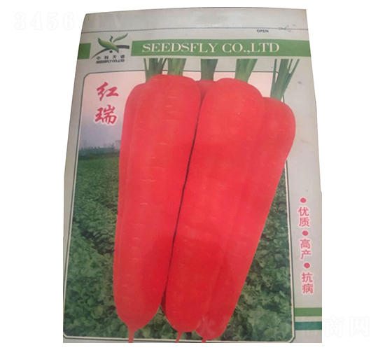 �t��-�t�}���N��-����N�I(y��)