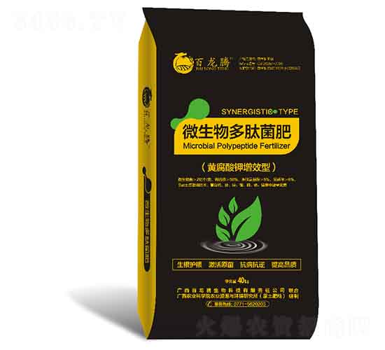 ΢������ľ���-�����v