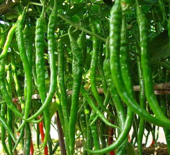 �ؼ�6-�����N��-�r(n��ng)֮��