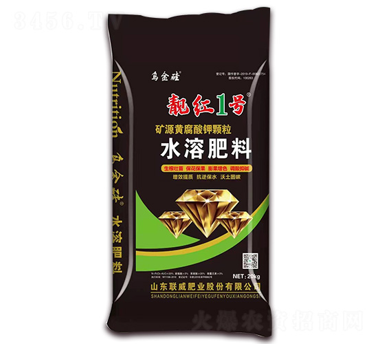 �VԴ�S������w��-�n�t1̖-(li��n)���ʘI(y��)