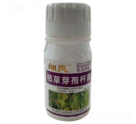 ƿ�b�ݲ�ѿ�ߗU��-��(x��)ˬ-�R�˰��