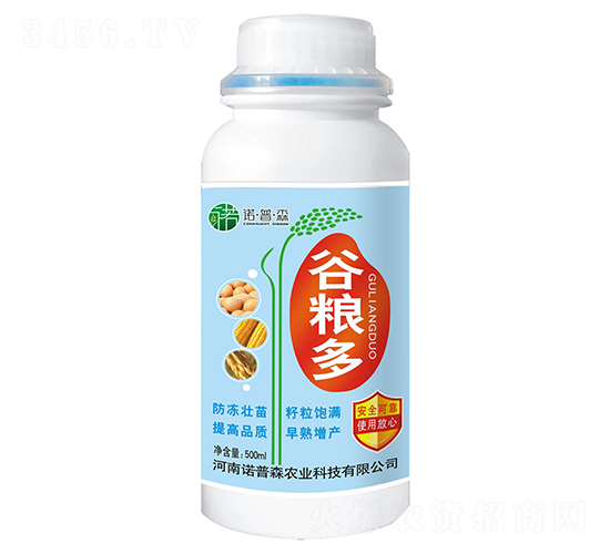 �ȼZ��-�Z��ɭ