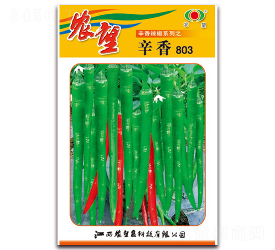 ����803-�����N��-�r(n��ng)��