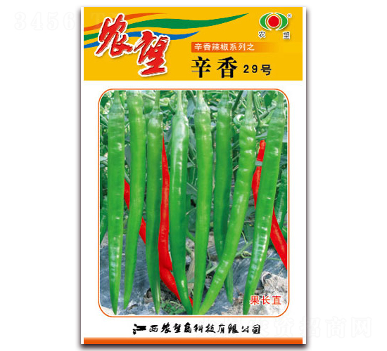 ����29̖(h��o)-�����N��-�r(n��ng)��