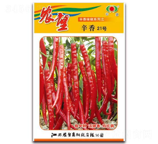 ����21̖-�����N��-�r(n��ng)��