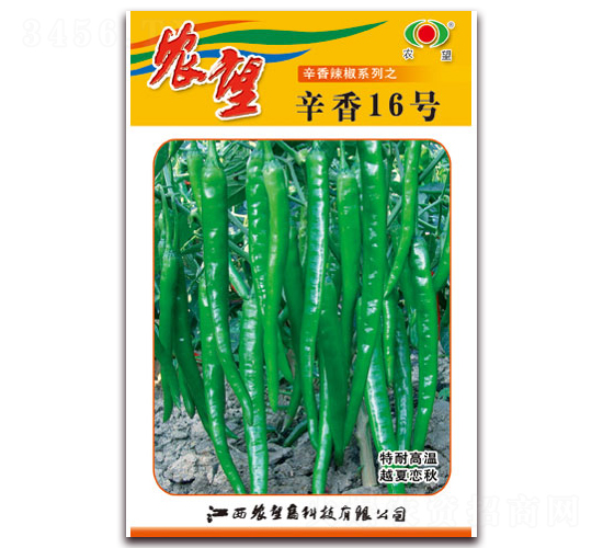 ����16̖(h��o)-�����N��-�r(n��ng)��