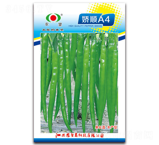 ���A4-��(xi��n)���N��-�r(n��ng)��