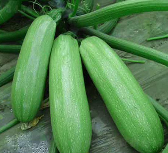 ����2-�����J�N��-�r(n��ng)֮��(r��n)