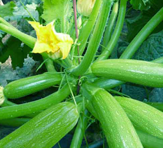 ����6-�����J�N��-�r(n��ng)֮��(r��n)