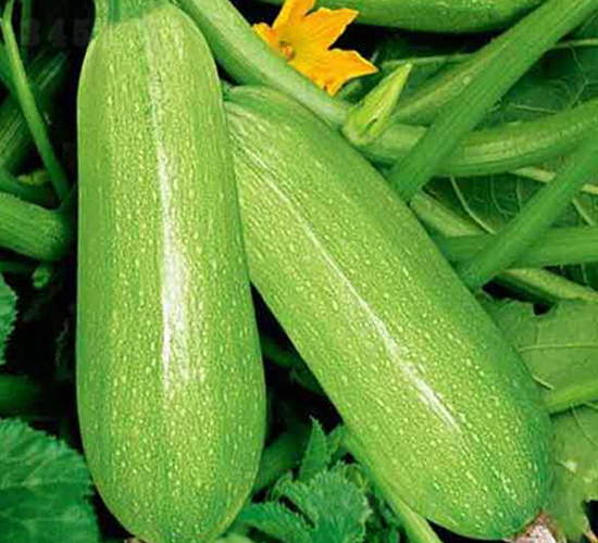 ����6�����J�N��-�r(n��ng)֮��