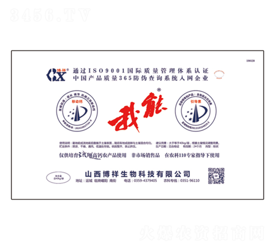 �����{(di��o)�턩-����-��������