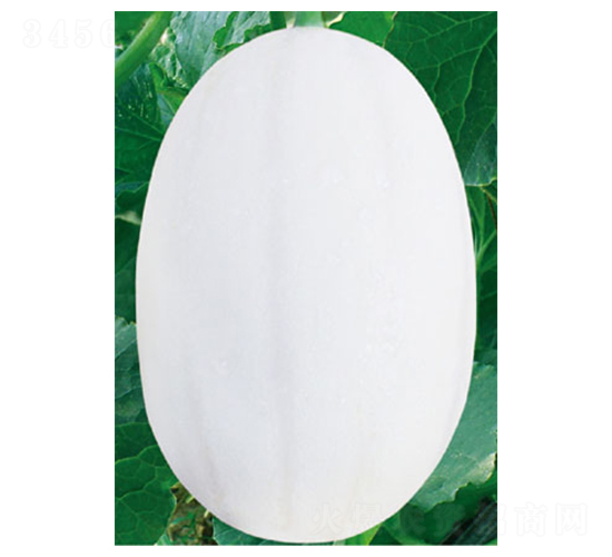 �|����1̖(h��o)-��ϷN��-�߶˷N�I(y��)