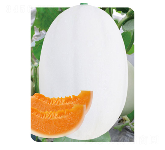 �ش�|����1̖(h��o)-��ϷN��-�߶˷N�I(y��)