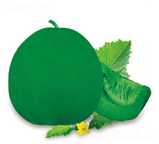 �G��-��ϷN��-�߶˷N�I(y��)