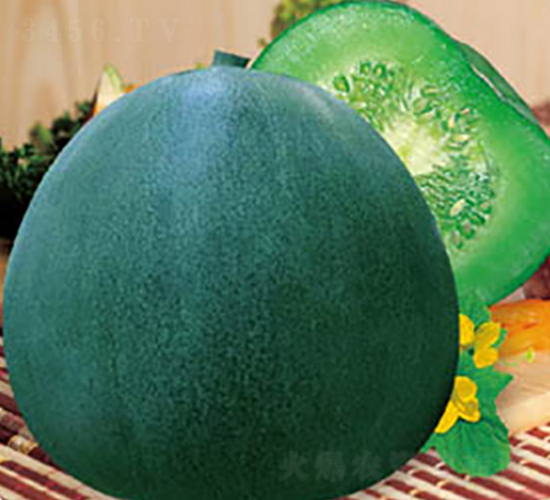 �����G��-��ϷN��-�߶˷N�I(y��)