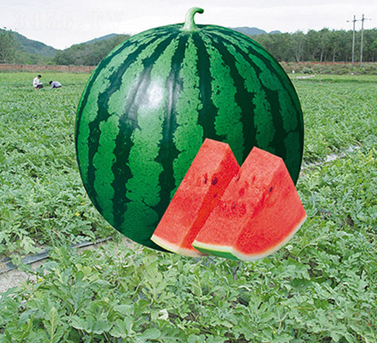 �K��058-���ϷN��-�н��N�I(y��)