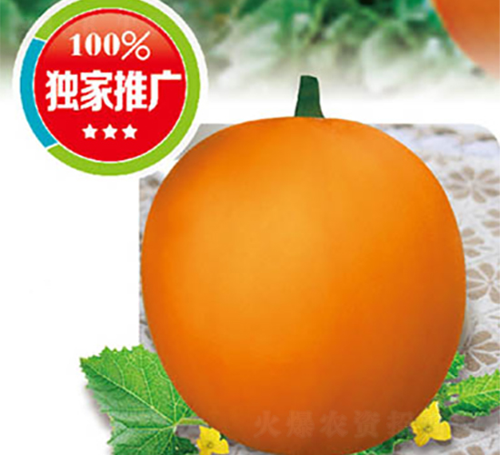 �߶���t-��ϷN��-�߶˷N�I(y��)