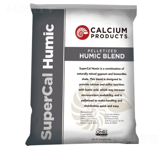 �����{�턩-������-��������