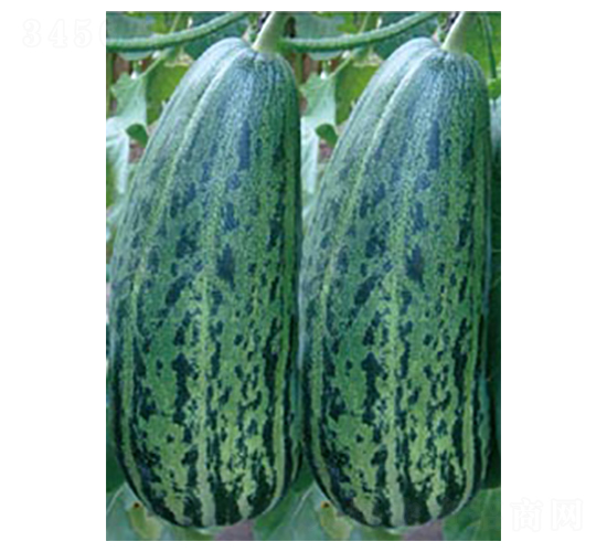 ����ʮ̖-��ϷN��-�߶˷N�I(y��)