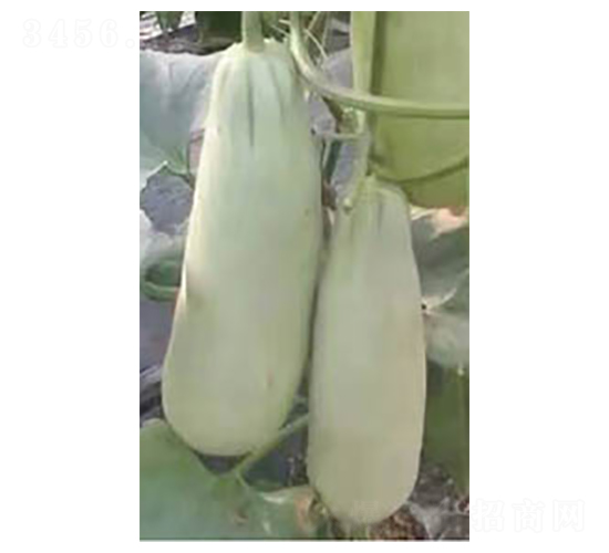 ������Ǵ�-��ϷN��-�߶˷N�I(y��)