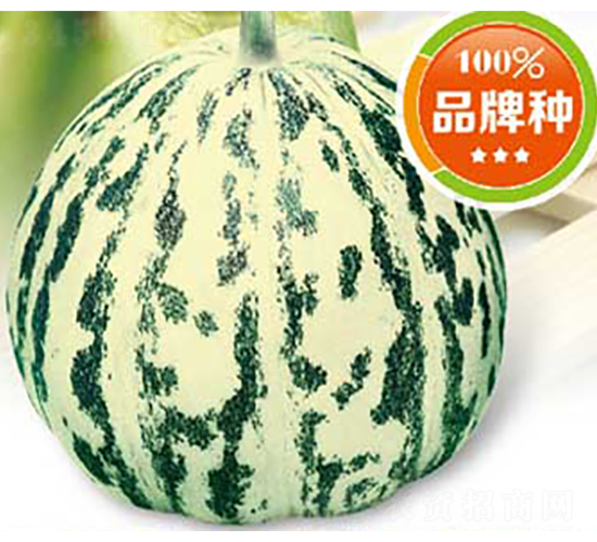 ˮ������-��ϷN��-�߶˷N�I(y��)