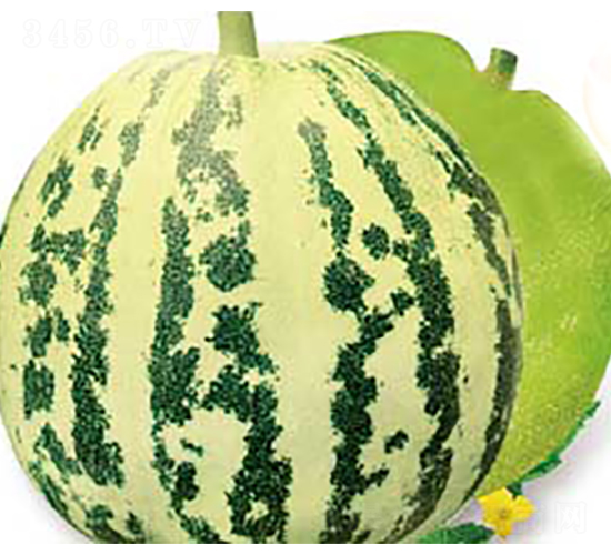 ����ϻ���-��ϷN��-�߶˷N�I(y��)