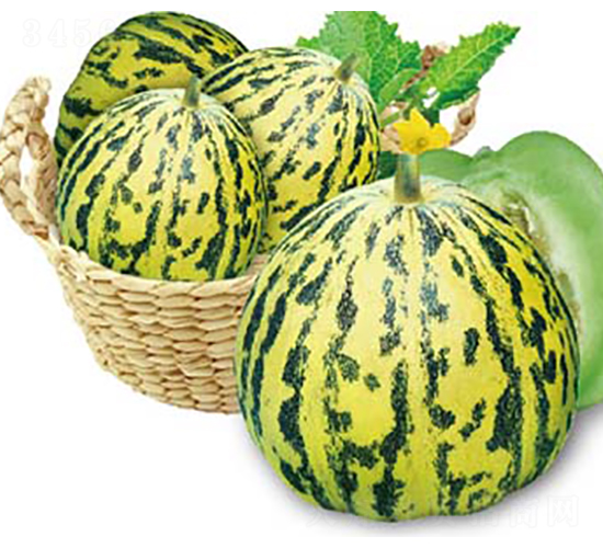 ����-��ϷN��-�߶˷N�I(y��)