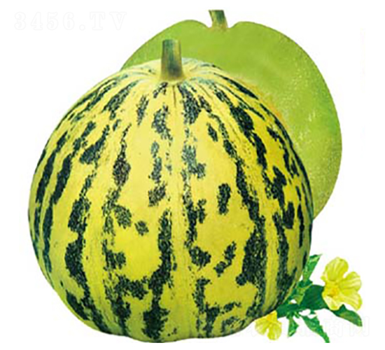 ��������-��ϷN��-�߶˷N�I(y��)