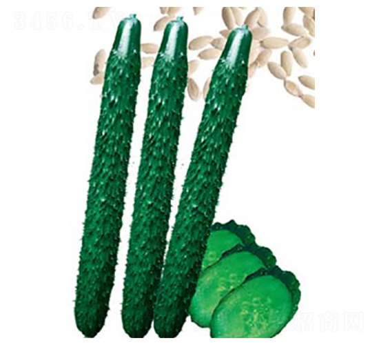 ����1988-�S�ϷN��-�߶˷N�I(y��)