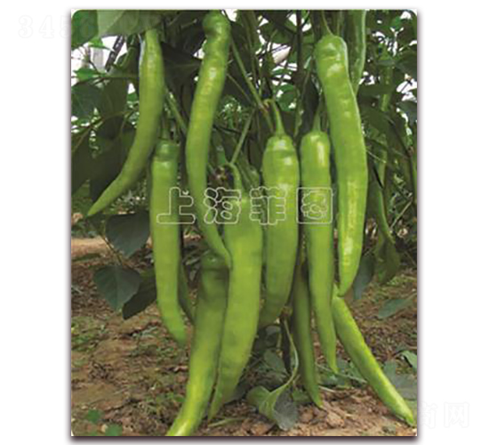 ����һ̖-�����N��-�ƈD�N�I(y��)