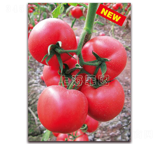 ����1706-��TY�۹����ѷN��-�ƈD�N�I(y��)