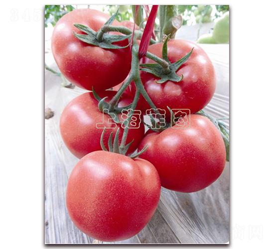 ����2067-��TY�۹����ѷN��-�ƈD�N�I(y��)