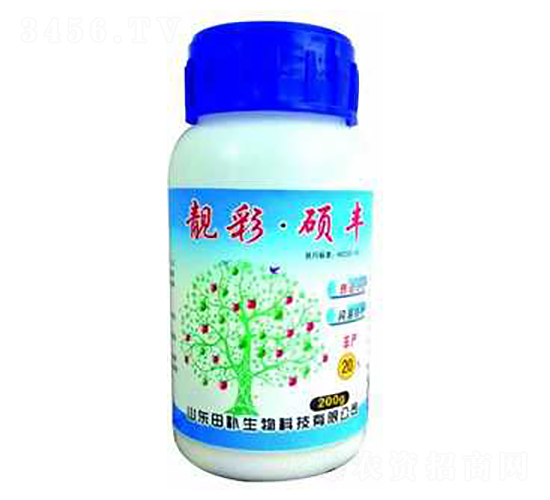 ���ʴT�S-���a