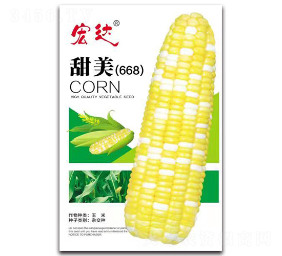 ����668-���׷N��-���_(d��)