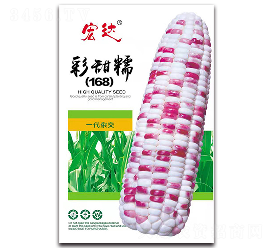 彩甜糯168-玉米種子-宏達