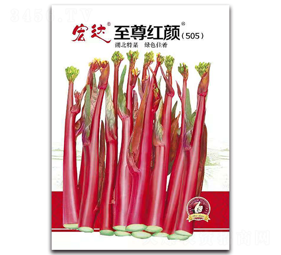 ����t�505-�ײ˷N��-���_