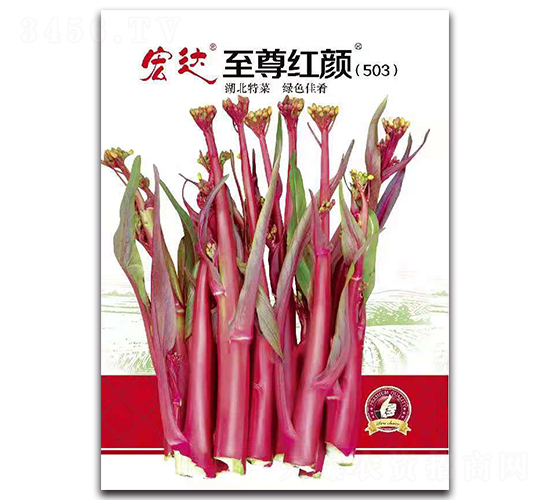 ����t�503-�ײ˷N��-���_(d��)